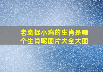 老鹰捉小鸡的生肖是哪个生肖呢图片大全大图