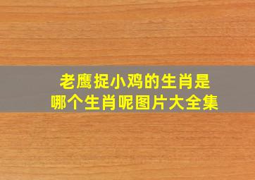 老鹰捉小鸡的生肖是哪个生肖呢图片大全集