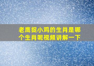 老鹰捉小鸡的生肖是哪个生肖呢视频讲解一下