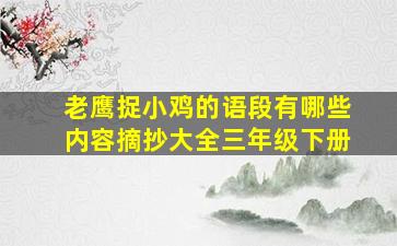 老鹰捉小鸡的语段有哪些内容摘抄大全三年级下册