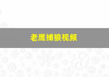 老鹰捕狼视频