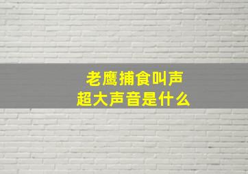 老鹰捕食叫声超大声音是什么