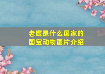 老鹰是什么国家的国宝动物图片介绍