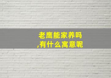 老鹰能家养吗,有什么寓意呢