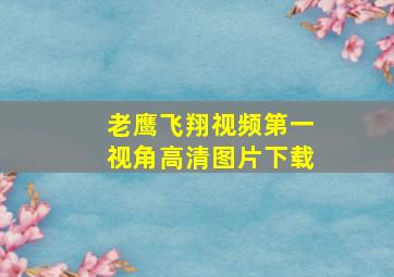 老鹰飞翔视频第一视角高清图片下载