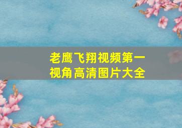 老鹰飞翔视频第一视角高清图片大全