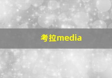 考拉media