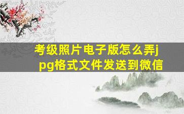 考级照片电子版怎么弄jpg格式文件发送到微信