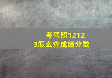 考驾照12123怎么查成绩分数