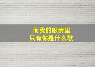 而我的眼睛里只有你是什么歌