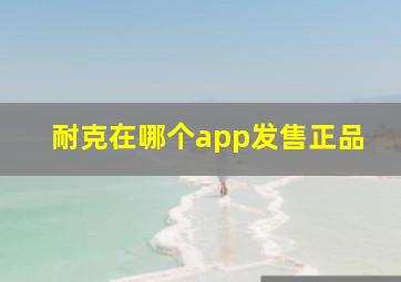 耐克在哪个app发售正品