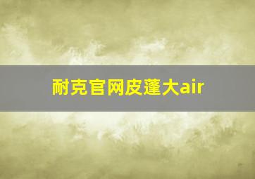 耐克官网皮蓬大air