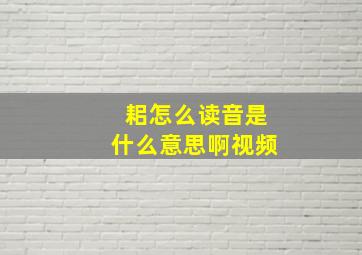 耜怎么读音是什么意思啊视频