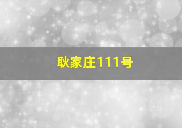 耿家庄111号