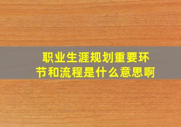 职业生涯规划重要环节和流程是什么意思啊