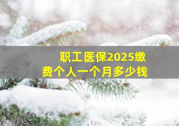 职工医保2025缴费个人一个月多少钱