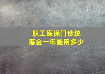 职工医保门诊统筹金一年能用多少