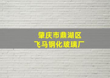 肇庆市鼎湖区飞马钢化玻璃厂