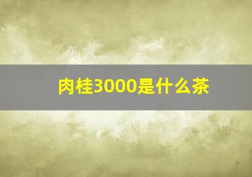 肉桂3000是什么茶