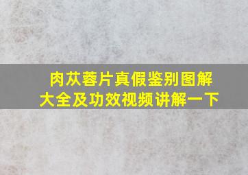 肉苁蓉片真假鉴别图解大全及功效视频讲解一下