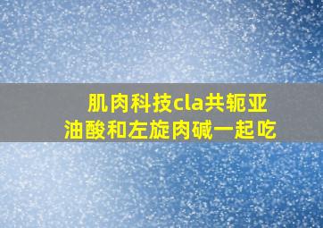 肌肉科技cla共轭亚油酸和左旋肉碱一起吃