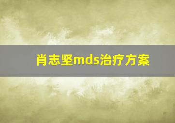 肖志坚mds治疗方案