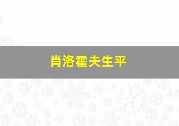 肖洛霍夫生平