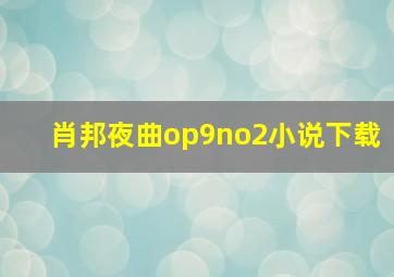 肖邦夜曲op9no2小说下载