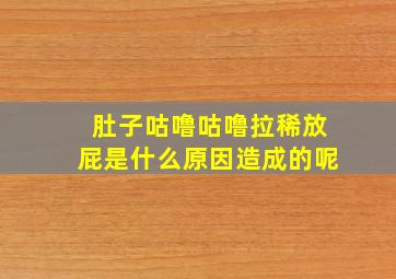 肚子咕噜咕噜拉稀放屁是什么原因造成的呢