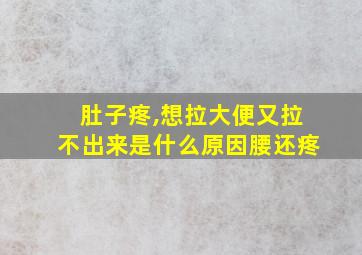 肚子疼,想拉大便又拉不出来是什么原因腰还疼