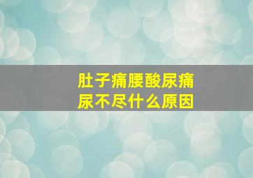 肚子痛腰酸尿痛尿不尽什么原因