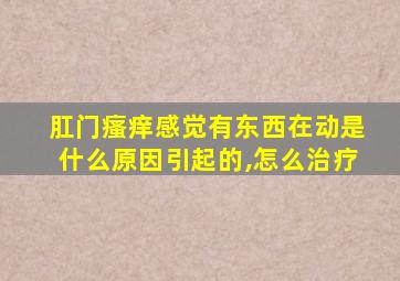 肛门瘙痒感觉有东西在动是什么原因引起的,怎么治疗