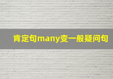 肯定句many变一般疑问句