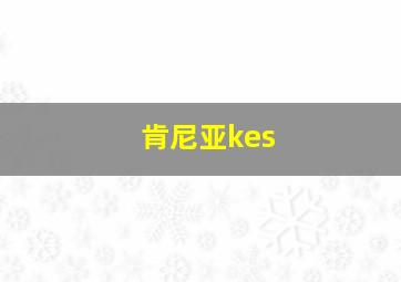 肯尼亚kes