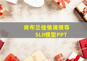 肯布兰佳情境领导SLII模型PPT