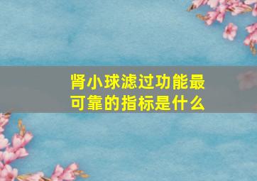 肾小球滤过功能最可靠的指标是什么