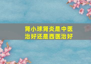 肾小球肾炎是中医治好还是西医治好