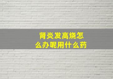 肾炎发高烧怎么办呢用什么药