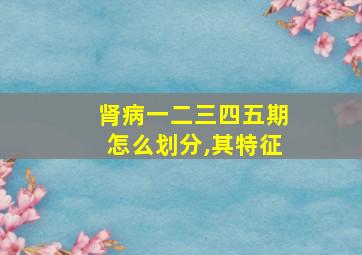 肾病一二三四五期怎么划分,其特征