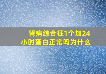 肾病综合征1个加24小时蛋白正常吗为什么