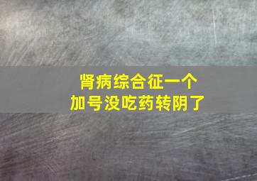 肾病综合征一个加号没吃药转阴了