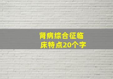 肾病综合征临床特点20个字