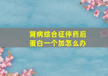 肾病综合征停药后蛋白一个加怎么办