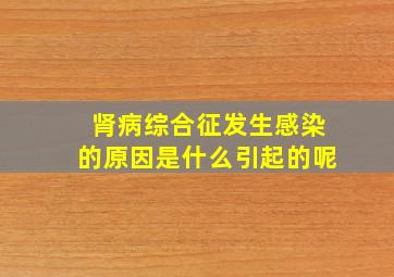 肾病综合征发生感染的原因是什么引起的呢