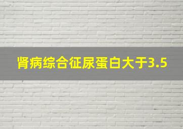 肾病综合征尿蛋白大于3.5