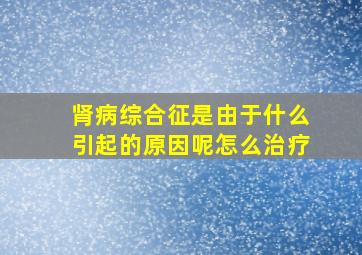 肾病综合征是由于什么引起的原因呢怎么治疗