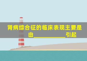 肾病综合征的临床表现主要是由___________引起