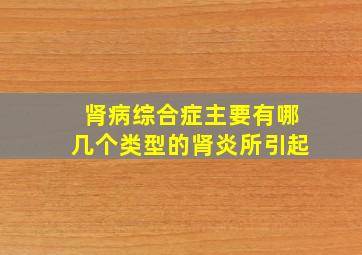 肾病综合症主要有哪几个类型的肾炎所引起