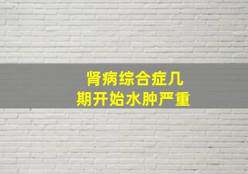 肾病综合症几期开始水肿严重