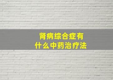 肾病综合症有什么中药治疗法